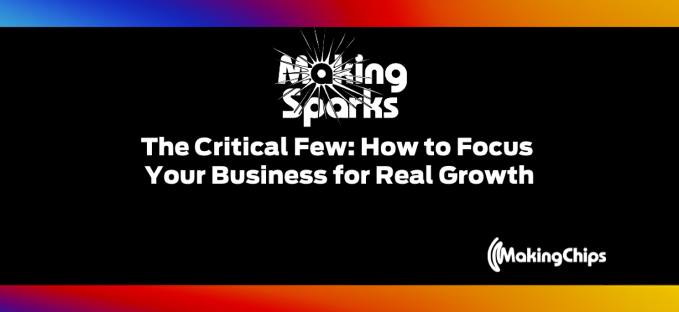 The Critical Few: How to Focus Your Business for Real Growth